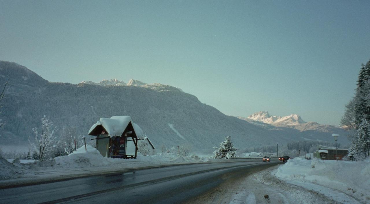 Leitner Guest house